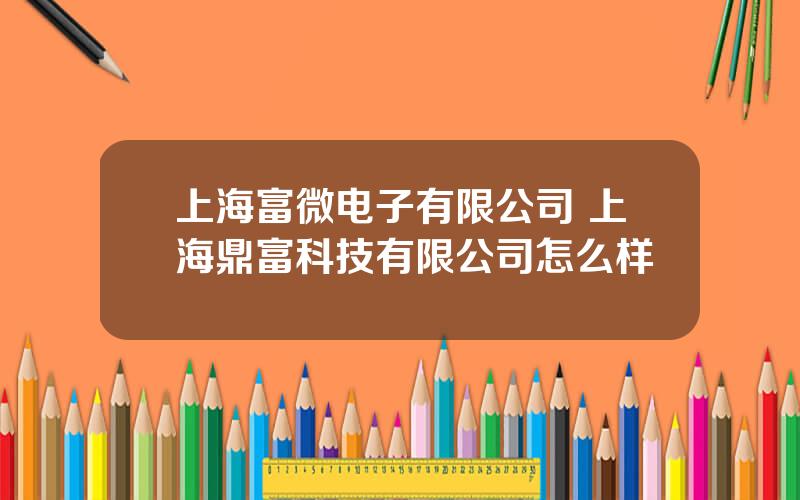 上海富微电子有限公司 上海鼎富科技有限公司怎么样